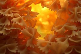 butterflies by tys damhuis