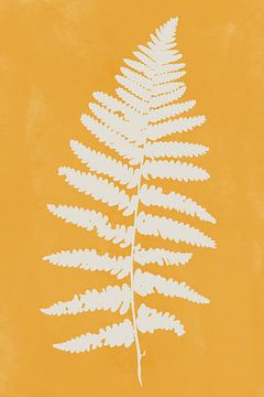 Modern botanical art. Fern in white on yellow by Dina Dankers