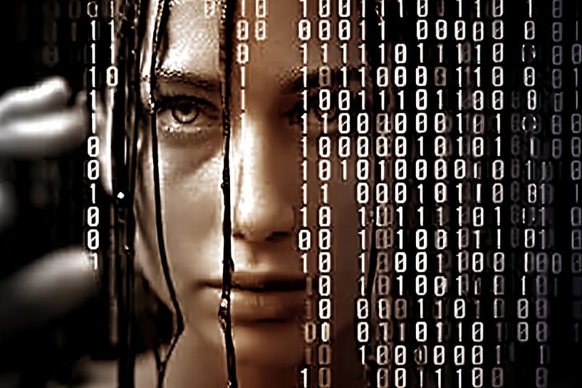 Programmeur dans le flux de données par Frank Heinz