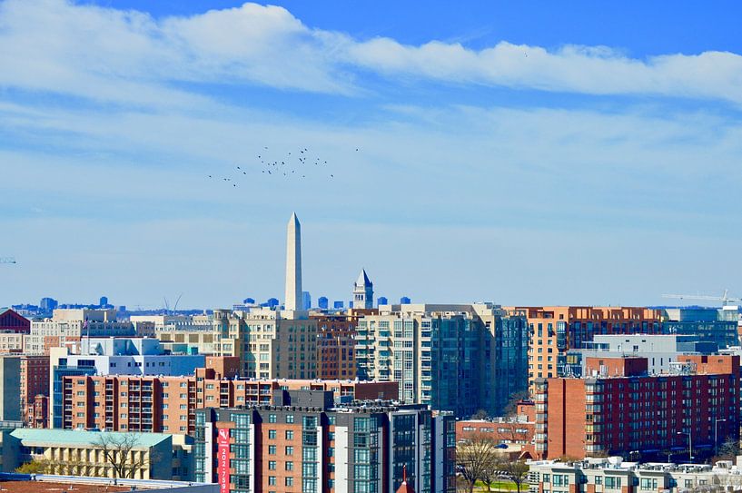 Washington DC by Hello Pompoyo