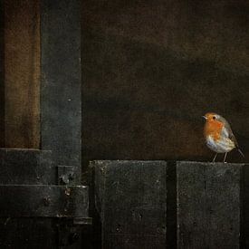 Mein kleiner Freund von Iris van Heusden