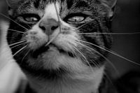 I'll get you