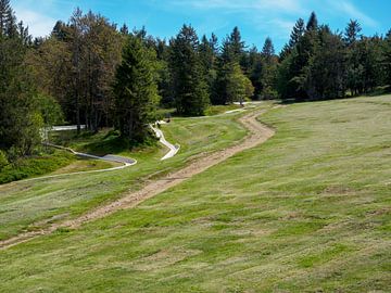 glisser dans les montagnes vosges france sur Delphine Kesteloot