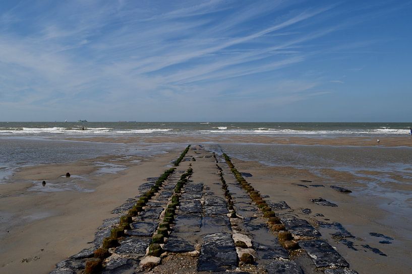 Breakwater by Sophie Van Acker