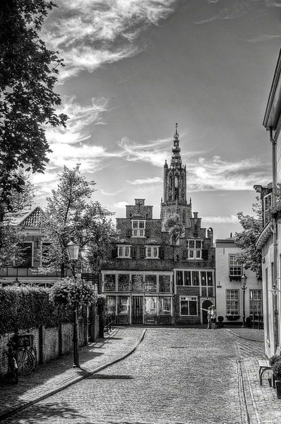 Hawk and Bloemendalse Binnenpoort historical Amersfoort black and white by Watze D. de Haan