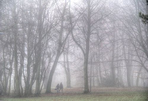 People in the fog