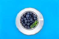 Blueberries in a white cup on saucer against a blue background. by Ans van Heck thumbnail