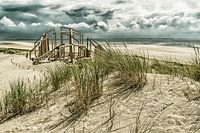 Maasvlakte