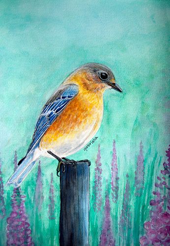 Sialia-Vogel mit rosa Blüten