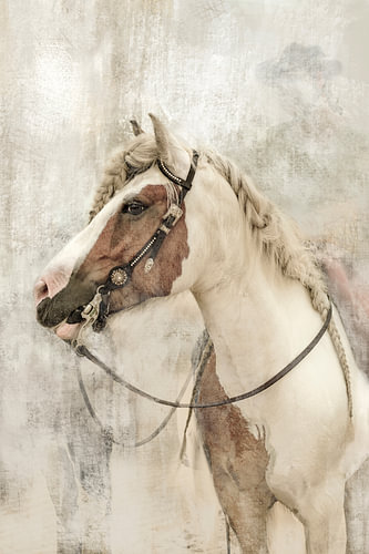 A cowboy with his horse.
