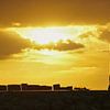 Silhouet van eenzame fietser die geniet van zonsondergang boven de Westerschelde. van Gert van Santen
