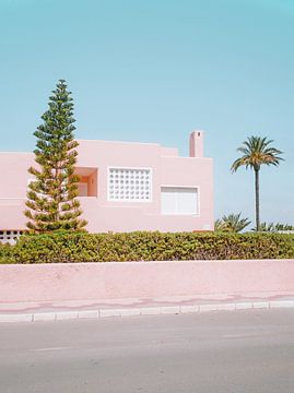 the pink palm three house by selected by Sascha.E