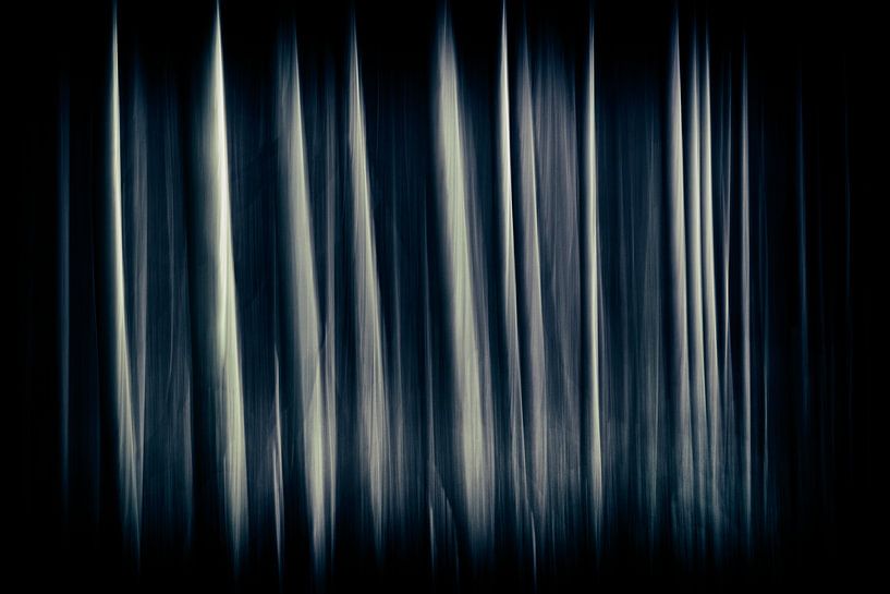 Lijnenspel met bomen von Sanneke Kortbeek