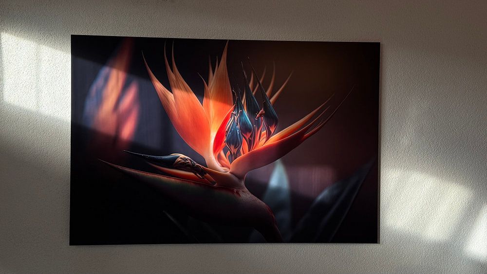 Goude Oranje Strelitzia met Regenboog  van Surreal Media 