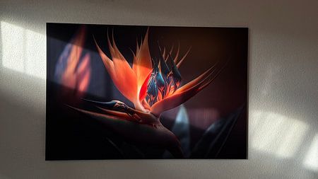 Golden Orange Strelitzia mit Regenbogen