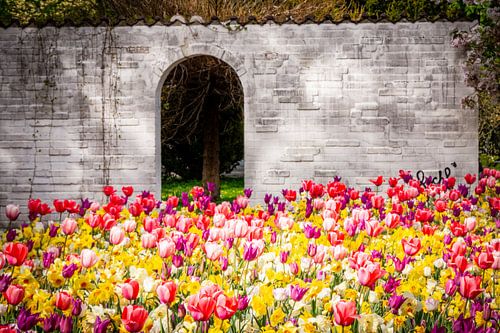 Nuremberg City Park Sea of tulips in front of the wall