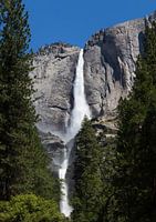Waterfall in Yosemite National Park