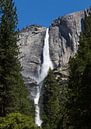 Waterval in Yosemite national park van Yannick uit den Boogaard thumbnail