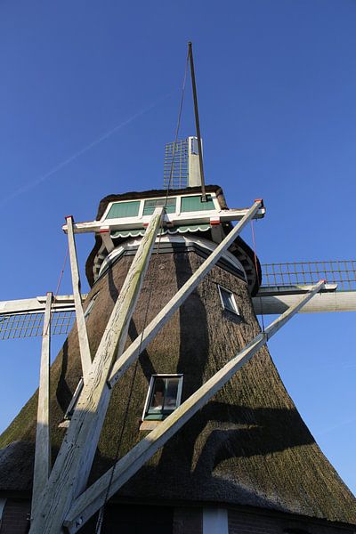 Achtkante korenmolen by Fred Vester