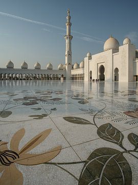 Sheikh Zayed grand mosque van Luc Buthker