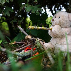 Bear sitting by campfire. by Sailographic Paula