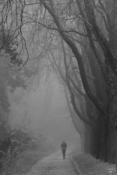 Im Nebel von Photo Julleke