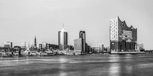 Skyline Hamburg met de Elbphilharmonie - Monochroom