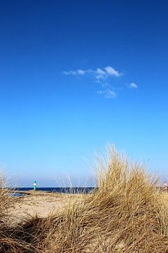 Dunes by Ostsee Bilder