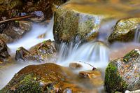 Beek in het Zwarte Woud