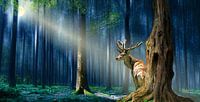 Der Hirsch im mystischen Wald von Monika Jüngling Miniaturansicht