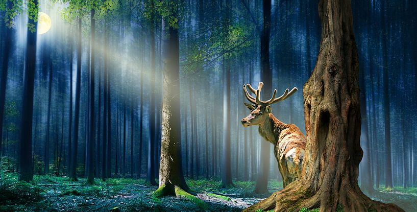 Le cerf dans la forêt mystique par Monika Jüngling