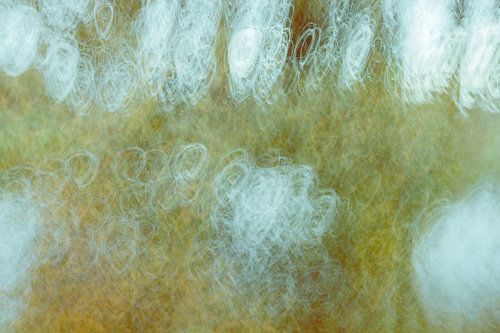 Impressionistisches fotografisches Werk Riverbank Reed