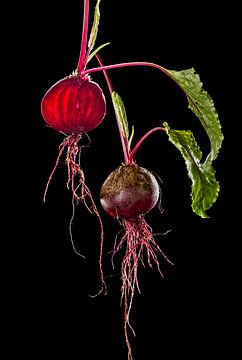 \beetroot by Fotogallery