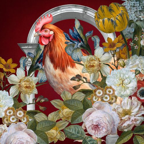 Where to Spot a Chicken