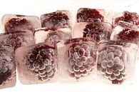Blackberrys in ice van Marc Heiligenstein thumbnail