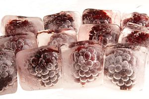 Brombeeren 