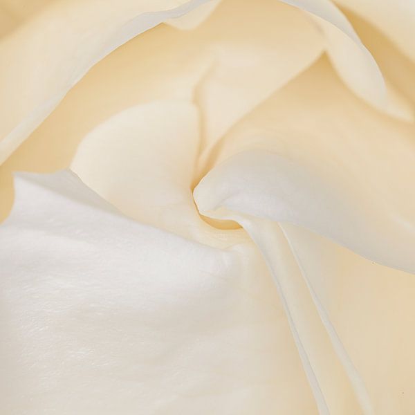twist by Tessy Graas