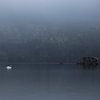Lonely Swan by Shotz by Mindy