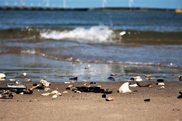 strandview von Max van Boxel