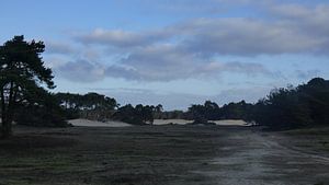 Wekeromse zand