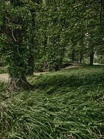 Natuur 5