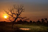 Zonsondergang op Borneo
