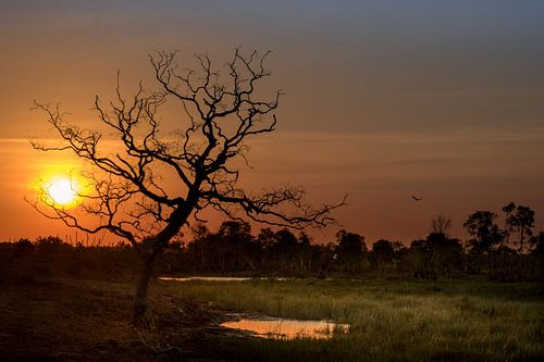 Zonsondergang op Borneo