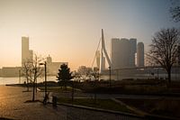 Foggy morning