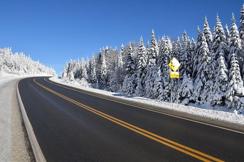Een landweg in de winter