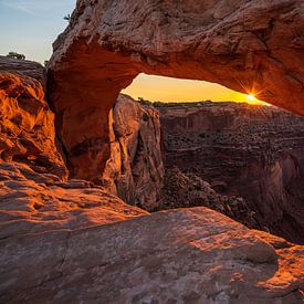 Mesa Arch by Steven Driesen