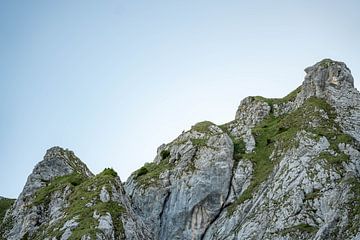 Chamois in the Tyrolean mountains by Leo Schindzielorz