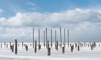 Plage Petten