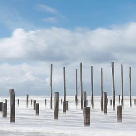 Plage Petten sur Dick van der Wilt