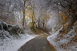 Winterstimmung in Wijlre